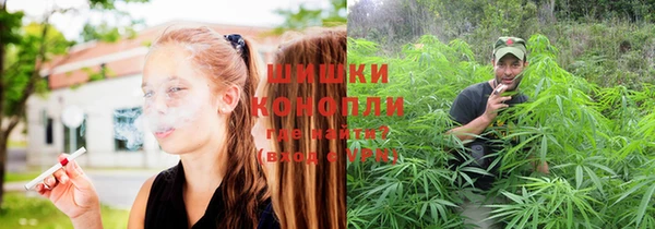 a pvp Михайлов