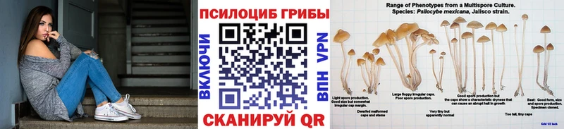Псилоцибиновые грибы Psilocybe дарнет шоп Сердобск