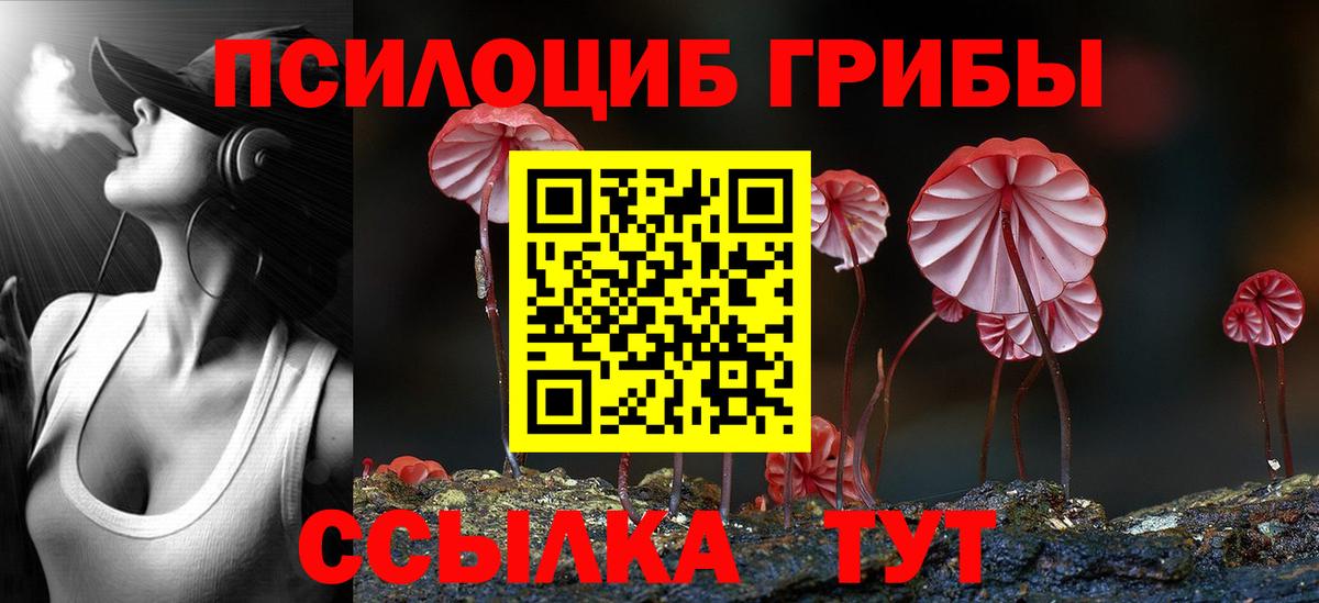 Галлюциногенные грибы Psilocybe Сердобск