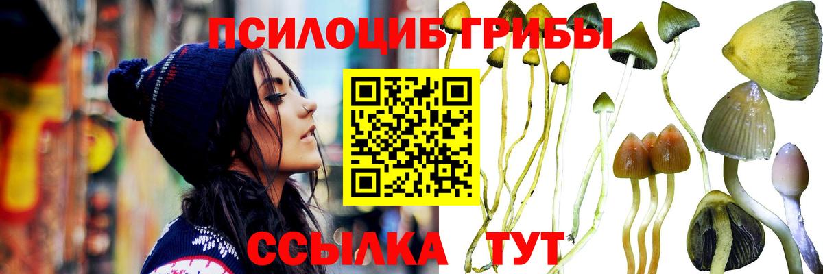 где можно купить   Галлюциногенные грибы MAGIC MUSHROOMS  Сердобск  Вход с VPN  Галлюциногенные грибы мицелий 